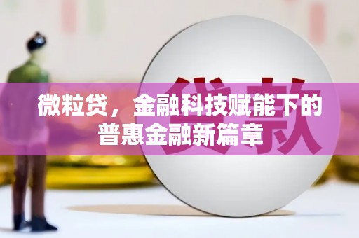 新洲微粒贷，金融科技赋能下的普惠金融新篇章