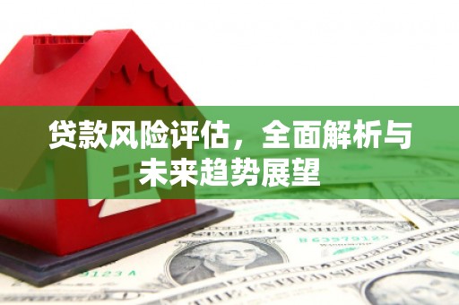 吴忠贷款风险评估，全面解析与未来趋势展望