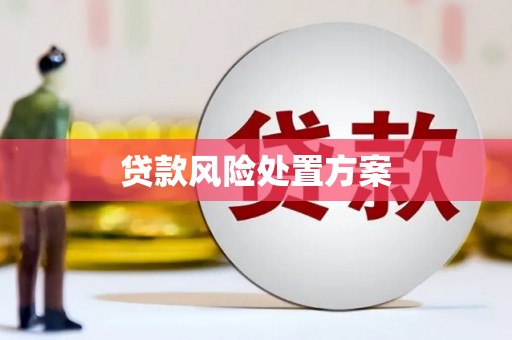 三沙贷款风险处置方案