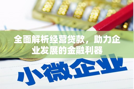 洋山全面解析经营贷款，助力企业发展的金融利器