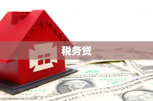 宝塔税务贷