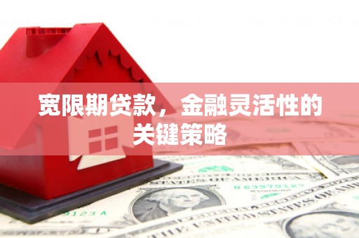 康县宽限期贷款，金融灵活性的关键策略