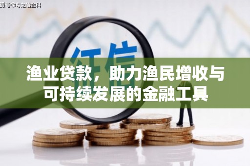 林甸渔业贷款，助力渔民增收与可持续发展的金融工具