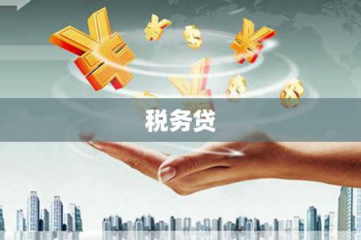 西和税务贷