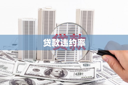 淄博贷款违约率