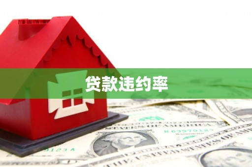 绩溪贷款违约率