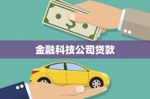 金溪金融科技公司贷款