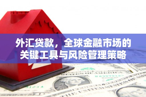 昌吉外汇贷款，全球金融市场的关键工具与风险管理策略