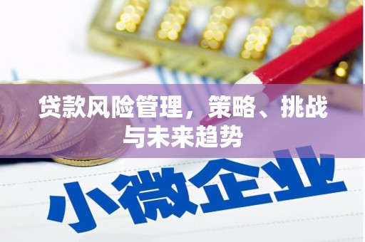 广河贷款风险管理，策略、挑战与未来趋势