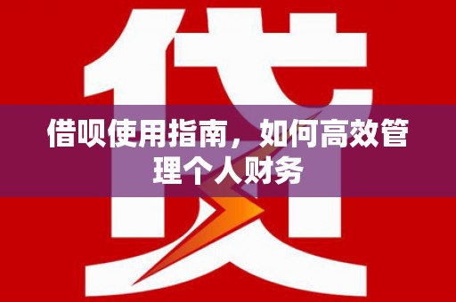 柳南借呗使用指南，如何高效管理个人财务