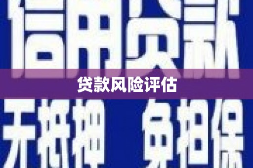 吴起贷款风险评估