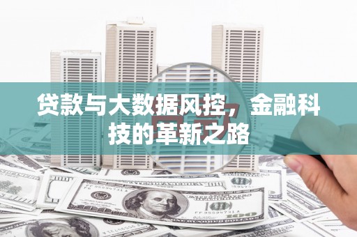 宜城贷款与大数据风控，金融科技的革新之路