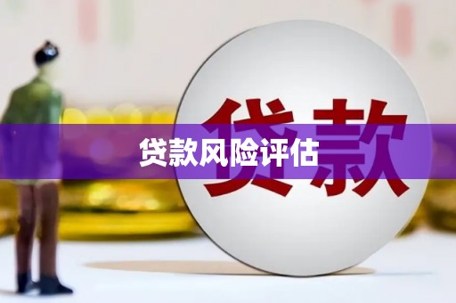 响水贷款风险评估