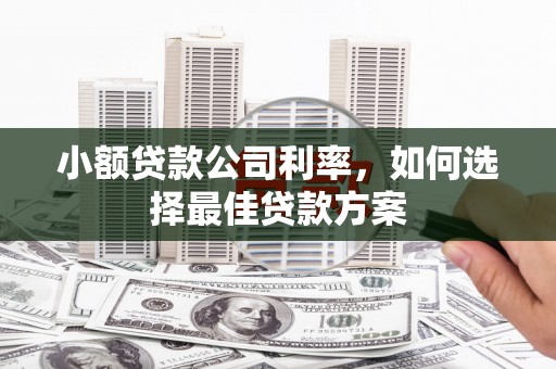 沈北新区小额贷款公司利率，如何选择最佳贷款方案