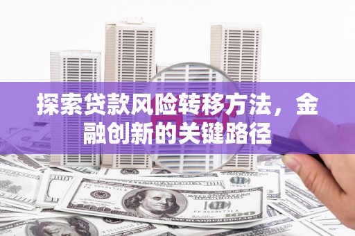 阿勒泰探索贷款风险转移方法，金融创新的关键路径