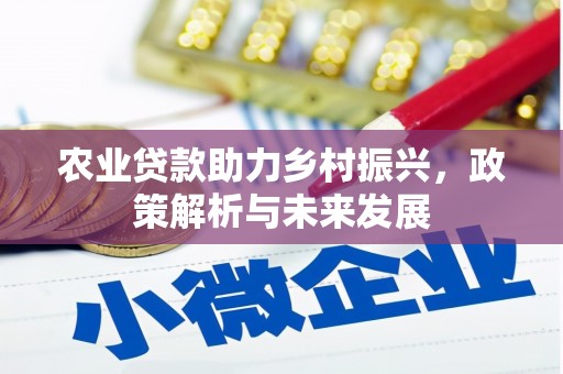 淮上农业贷款助力乡村振兴，政策解析与未来发展