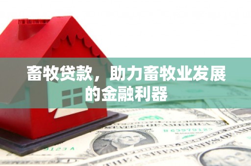 姑苏畜牧贷款，助力畜牧业发展的金融利器