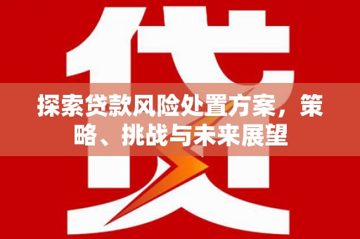 分宜探索贷款风险处置方案，策略、挑战与未来展望