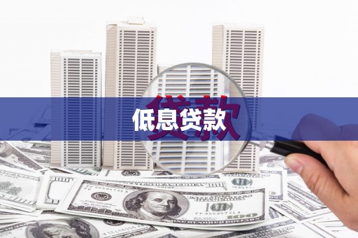 海兴低息贷款