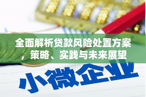 正宁全面解析贷款风险处置方案，策略、实践与未来展望