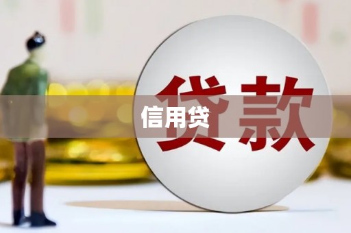 信阳信用贷