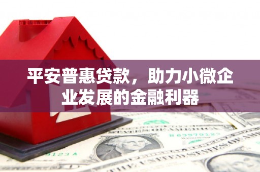 克孜勒苏柯尔克孜平安普惠贷款，助力小微企业发展的金融利器
