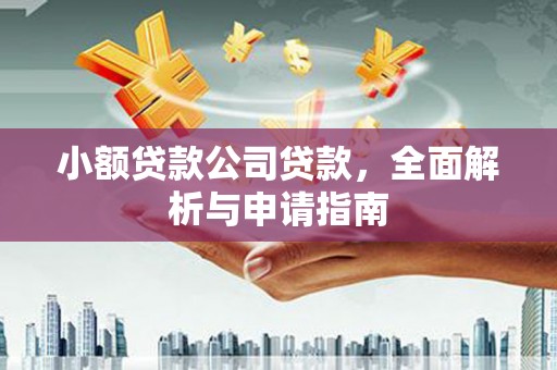 乌拉特后旗小额贷款公司贷款，全面解析与申请指南