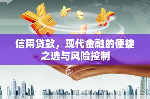 洪雅信用贷款，现代金融的便捷之选与风险控制