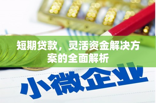 嘉禾短期贷款，灵活资金解决方案的全面解析