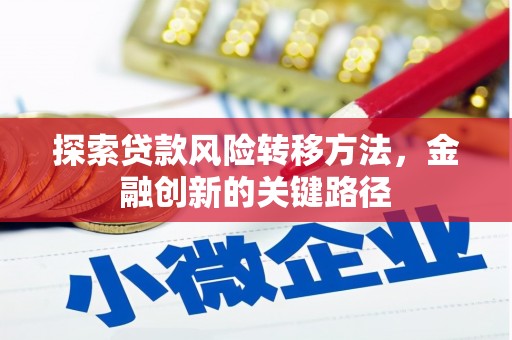 毕节探索贷款风险转移方法，金融创新的关键路径