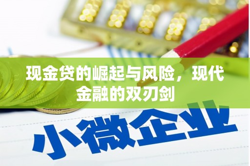 成武现金贷的崛起与风险，现代金融的双刃剑