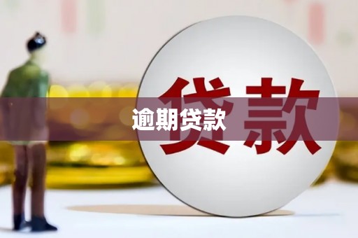 茂林逾期贷款