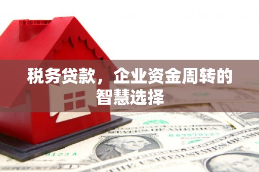 洮南税务贷款，企业资金周转的智慧选择
