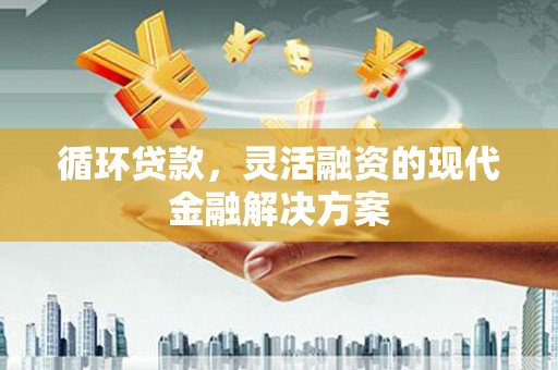 东乡族循环贷款，灵活融资的现代金融解决方案