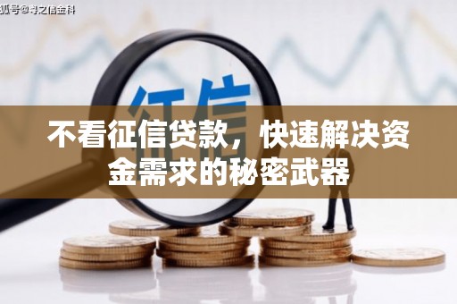 光明新区不看征信贷款，快速解决资金需求的秘密武器