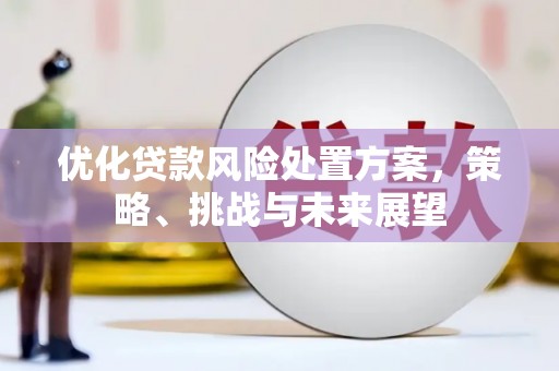 红古优化贷款风险处置方案，策略、挑战与未来展望
