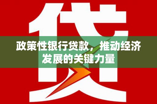 枋山政策性银行贷款，推动经济发展的关键力量