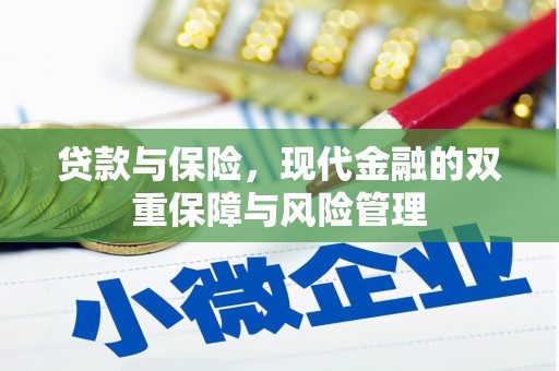 靖州贷款与保险，现代金融的双重保障与风险管理