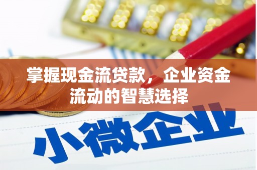 涟水掌握现金流贷款，企业资金流动的智慧选择