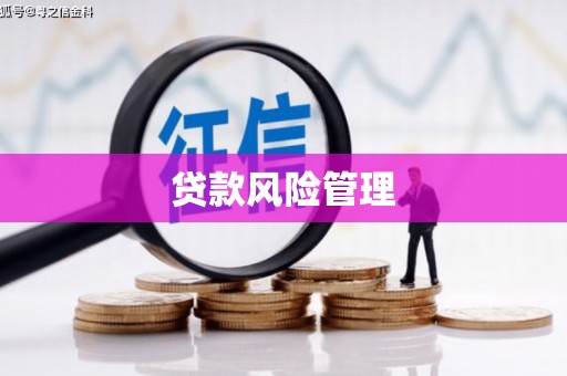 光山贷款风险管理