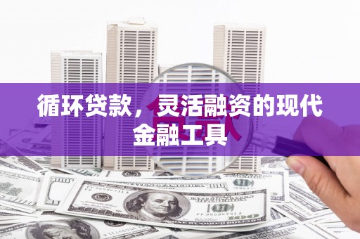 富源循环贷款，灵活融资的现代金融工具