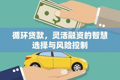 潢川循环贷款，灵活融资的智慧选择与风险控制