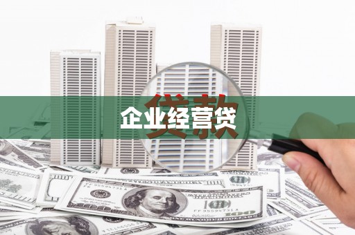 洋县企业经营贷