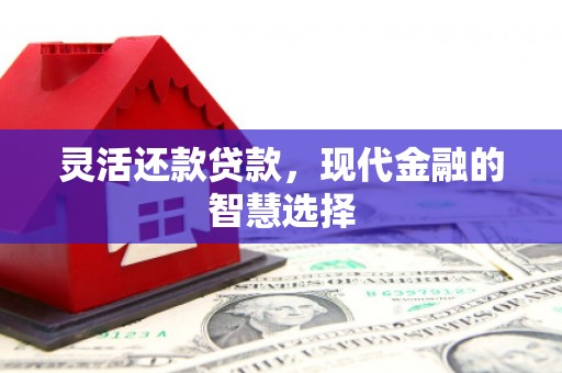红古灵活还款贷款，现代金融的智慧选择