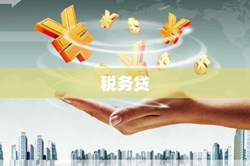 云龙税务贷