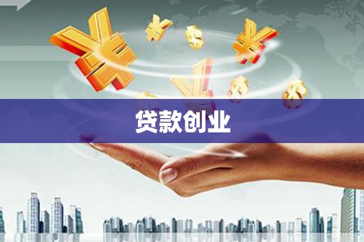 特克斯贷款创业
