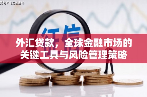 全南外汇贷款，全球金融市场的关键工具与风险管理策略