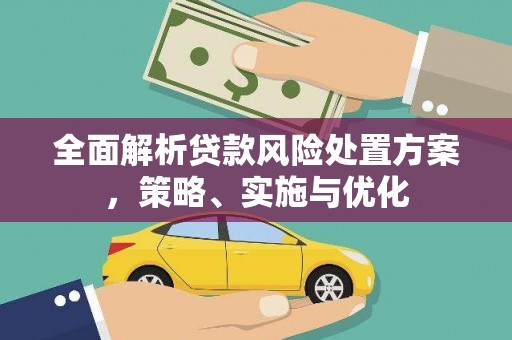沿河全面解析贷款风险处置方案，策略、实施与优化