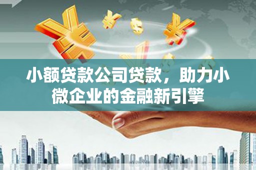 福贡小额贷款公司贷款，助力小微企业的金融新引擎