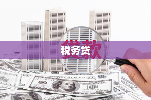 青山湖税务贷